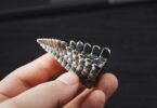 Bug Bite Thing
